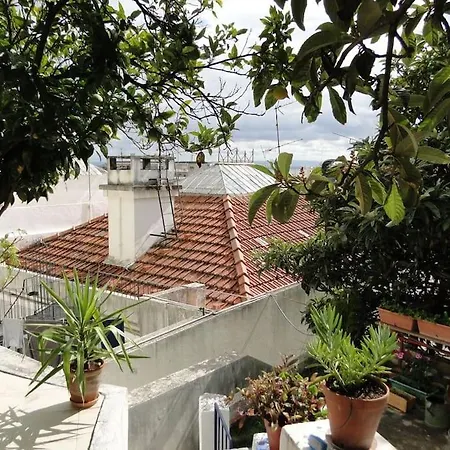 Charm Flat Apartment *